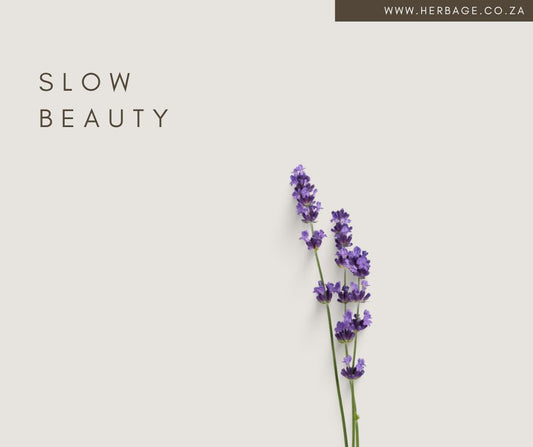 The Ritual of Slow Beauty